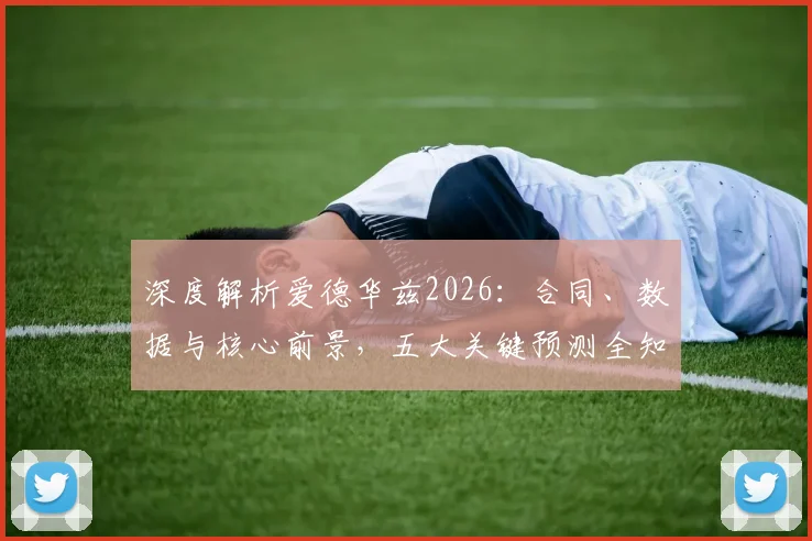 深度解析爱德华兹2026：合同、数据与核心前景，五大关键预测全知道